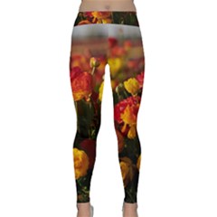 Vered-caspi-orlqbmy1om8-unsplash Classic Yoga Leggings by jellybeansanddinosaurs