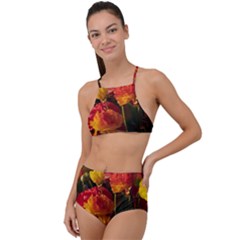 Vered-caspi-orlqbmy1om8-unsplash High Waist Tankini Set by jellybeansanddinosaurs