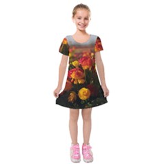 Vered-caspi-orlqbmy1om8-unsplash Kids  Short Sleeve Velvet Dress