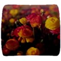 Vered-caspi-orlqbmy1om8-unsplash Back Support Cushion View1