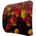 Vered-caspi-orlqbmy1om8-unsplash Back Support Cushion View3