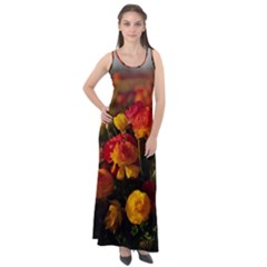 Vered-caspi-orlqbmy1om8-unsplash Sleeveless Velour Maxi Dress by jellybeansanddinosaurs