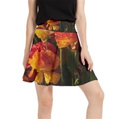 Vered-caspi-orlqbmy1om8-unsplash Waistband Skirt