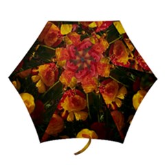 Vered-caspi-orlqbmy1om8-unsplash Mini Folding Umbrellas by jellybeansanddinosaurs