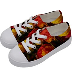 Vered-caspi-orlqbmy1om8-unsplash Kids  Low Top Canvas Sneakers by jellybeansanddinosaurs