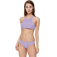 Orchid Bloom Banded Triangle Bikini Set