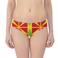 Abstract Pattern Geometric Backgrounds   Hipster Bikini Bottoms by Eskimos