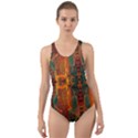 Red Abbey Abstract Animal Print Cut-Out Back One Piece Swimsuit View1