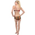 Red Abbey Abstract Animal Print Layered Top Bikini Set View2