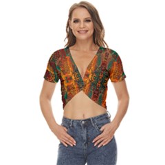 Red Abbey Abstract Animal Print Twist Front Crop Top