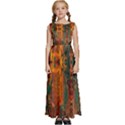 Red Abbey Abstract Animal Print Kids  Satin Sleeveless Maxi Dress View1