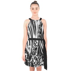 Zebra Leopard Black 7000 Halter Collar Waist Tie Chiffon Dress by MickiRedd