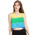 Mandalas-1084082 Textured-rainbow V-Neck Cropped Tank Top View1