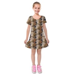 E380e471-c64d-409b-8d9d-1c190b9d4516 Kids  Short Sleeve Velvet Dress