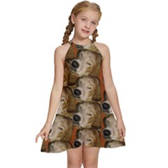 E380e471-c64d-409b-8d9d-1c190b9d4516 Kids  Halter Collar Waist Tie Chiffon Dress