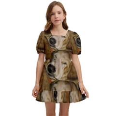 E380e471-c64d-409b-8d9d-1c190b9d4516 Kids  Short Sleeve Dolly Dress