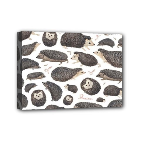 Hedgehog Mini Canvas 7  X 5  (stretched) by Sparkle