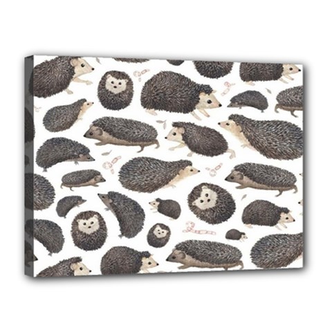 Hedgehog Canvas 16  X 12  (stretched) by Sparkle