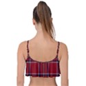 Brodie Clan Tartan 2 Frill Bikini Top View2