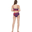 Galloway Red Modern Tartan Frilly Bikini Set View2