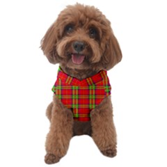 Tartan And Plaid 3 Dog Sweater by tartantotartansreddesign