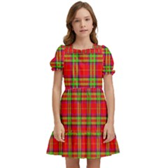 Tartan And Plaid 3 Kids  Puff Sleeved Dress by tartantotartansreddesign