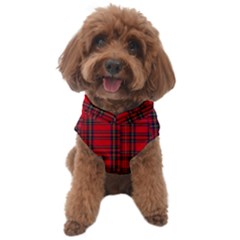 Royal Stewart Tartan Dog Sweater by tartantotartansreddesign