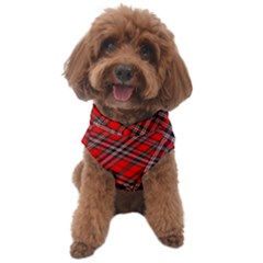 Macfarlane Modern Heavy Tartan Dog Sweater by tartantotartansallreddesigns