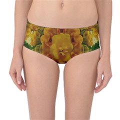 Tropical Spring Rose Flowers In A Good Mood Decorative Mid-waist Bikini Bottoms by pepitasart