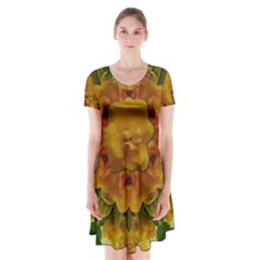 Tropical Spring Rose Flowers In A Good Mood Decorative Short Sleeve V-neck Flare Dress by pepitasart