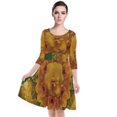 Tropical Spring Rose Flowers In A Good Mood Decorative Quarter Sleeve Waist Band Dress by pepitasart