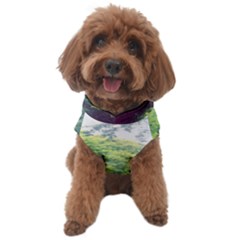 Photo Vue Sur Forêt  Dog Sweater by kcreatif