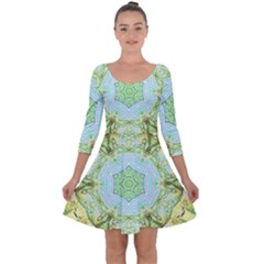 Green Marble Quarter Sleeve Skater Dress