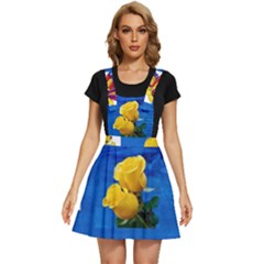 Backgrounderaser 20220425 173842383 Apron Dress