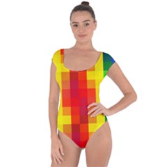 Pride Plaid Short Sleeve Leotard  by WetdryvacsLair