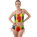 Pride Plaid Mini Tank Bikini Set View1