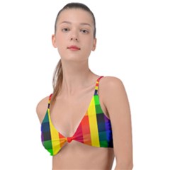 Pride Plaid Knot Up Bikini Top by WetdryvacsLair