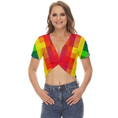 Pride Plaid Twist Front Crop Top by WetdryvacsLair