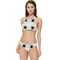 Agender Flag Plaid Banded Triangle Bikini Set View1