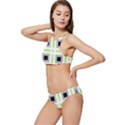 Agender Flag Plaid Banded Triangle Bikini Set View2