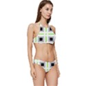 Agender Flag Plaid Banded Triangle Bikini Set View3