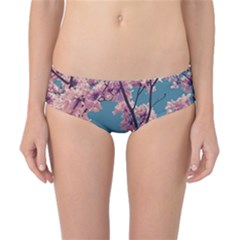 Colorful Floral Leaves Photo Classic Bikini Bottoms by dflcprintsclothing