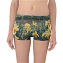 Sunny Day Reversible Boyleg Bikini Bottoms View1