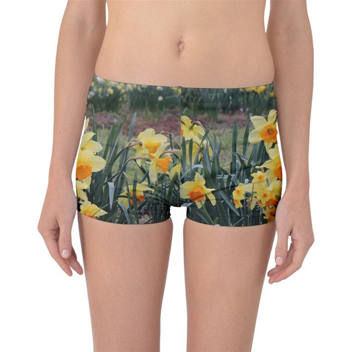 Sunny Day Reversible Boyleg Bikini Bottoms