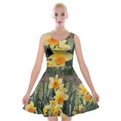 Sunny Day Velvet Skater Dress