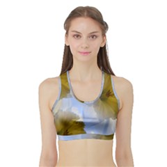 Triple Vision Sports Bra With Border by thedaffodilstore