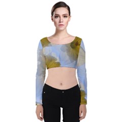 Triple Vision Velvet Long Sleeve Crop Top by thedaffodilstore