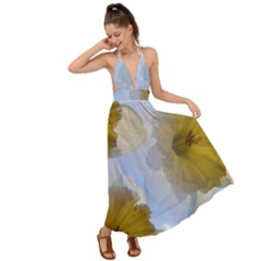 Triple Vision Backless Maxi Beach Dress