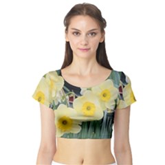 Daffodils In Bloom Short Sleeve Crop Top