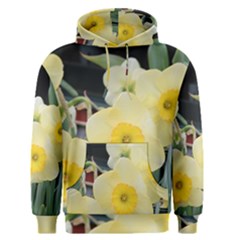 Daffodils In Bloom Men s Core Hoodie